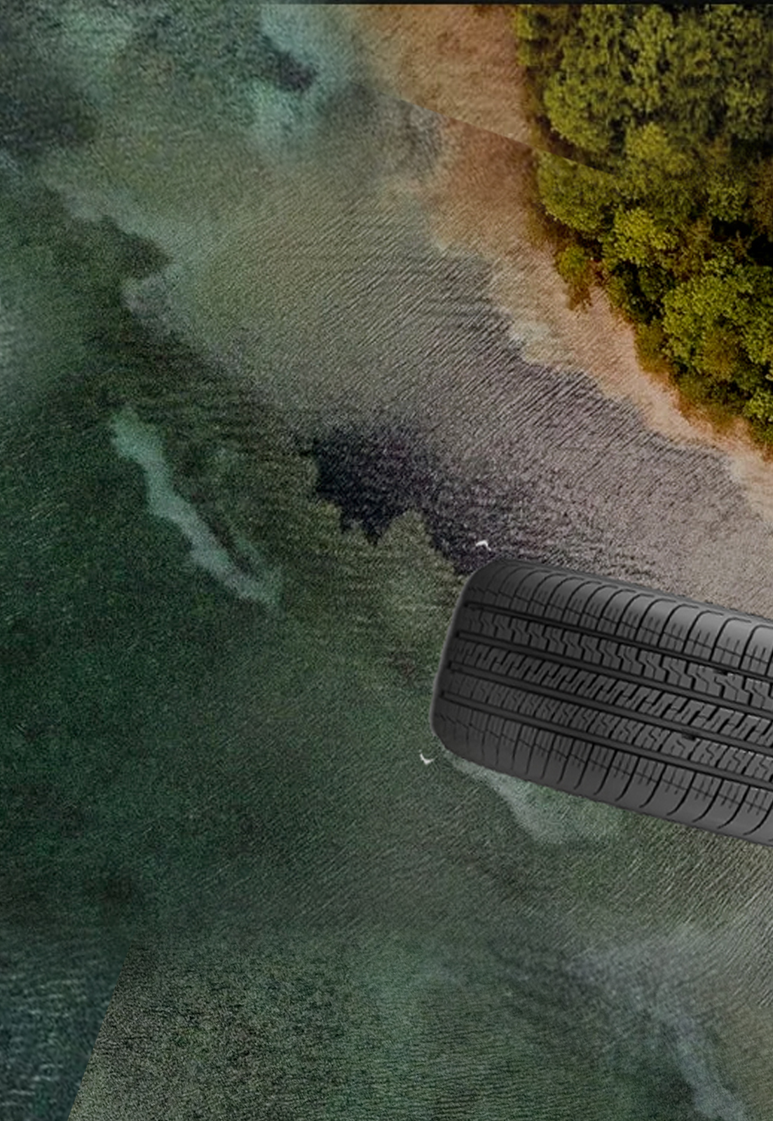 About MSDTRC 7 MSD Tire