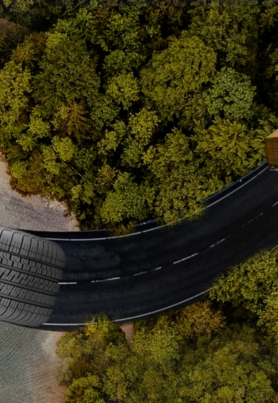 About MSDTRC 8 MSD Tire